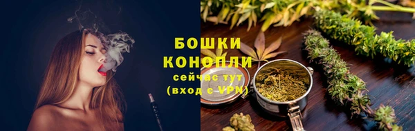 прущие грибы Елизово