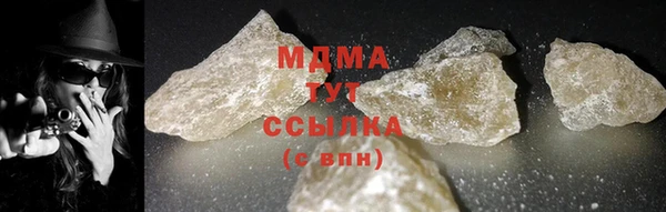 прущие грибы Елизово