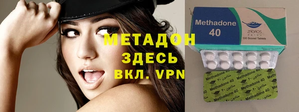 прущие грибы Елизово