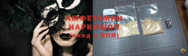 прущие грибы Елизово