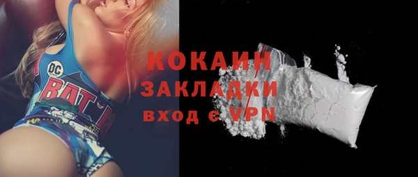 прущие грибы Елизово
