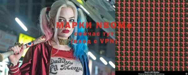 прущие грибы Елизово