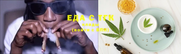 прущие грибы Елизово