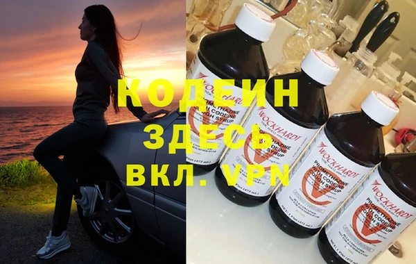 прущие грибы Елизово