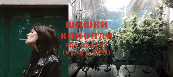 прущие грибы Елизово