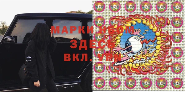прущие грибы Елизово