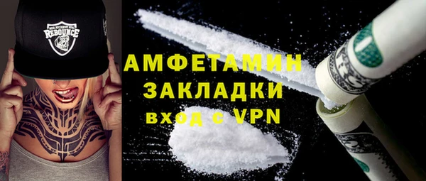 прущие грибы Елизово