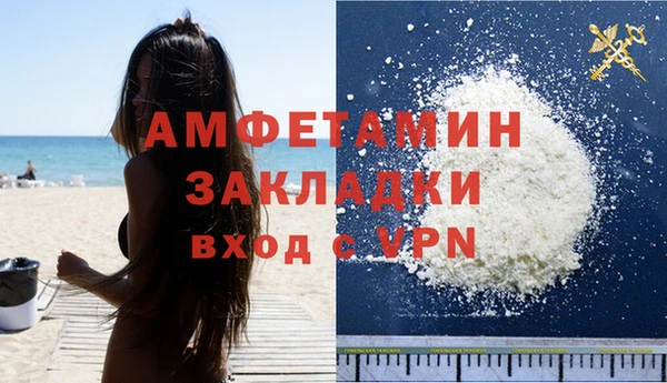 прущие грибы Елизово