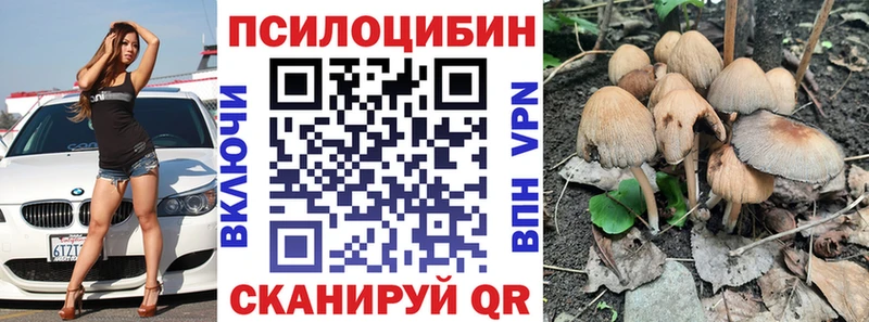 Псилоцибиновые грибы Psilocybe  Купить закладки  Бородино 